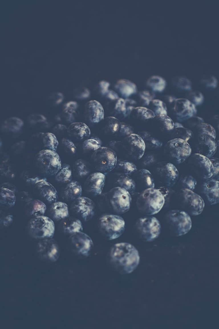 Seasonal Living in July - blueberries