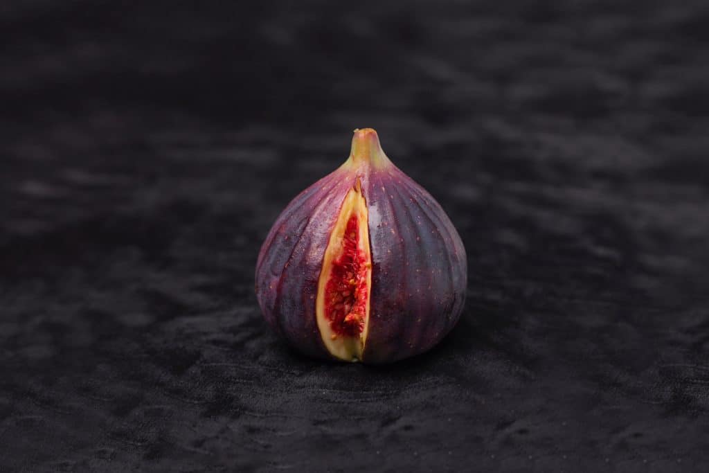 Open Fig